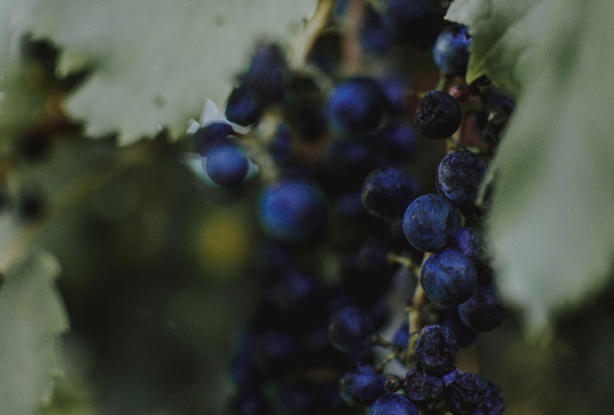 Latest Blog
